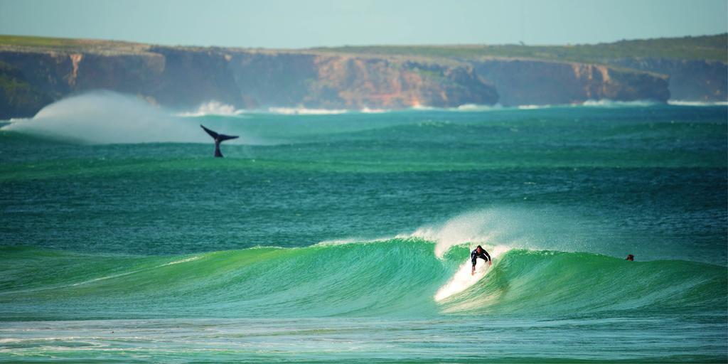 Warrnambool Motel And Holiday Park Exteriör bild